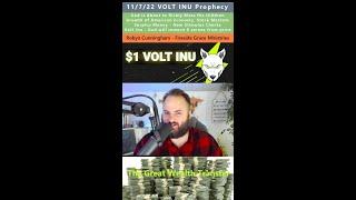 $1 VOLT INU Crypto, Wealth Transfer prophecy - Robyn Cunningham 11/7/22