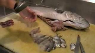 Mike Monahan explores the belly of a Bluefish...