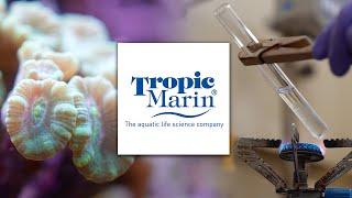 Tropic Marin - Official Trailer 2024