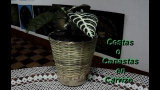 variedad de canastas o cestas en carrizo