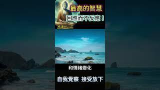 最高的智慧：回應而不反應！方法一、二：自我覺察，接受放下 #開悟 #覺醒 #靈性成長