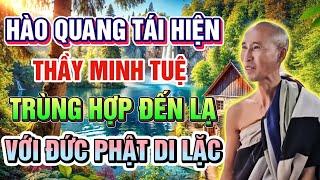 Hào Quang Tái Hiện: Sư Minh Tuệ Và Những Trùng Hợp Tâm Linh Với Đức Phật Di Lặc