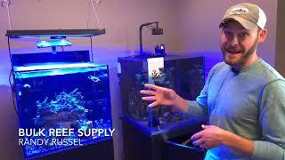 Tour of Bulk Reef Supply with Randy Russel