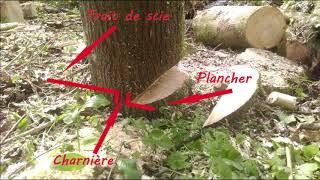 Technique d'abattage
