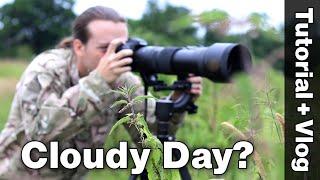 Learn how to do Wildlife Photography on a Cloudy Day!  |  Behind the Scenes Vlog