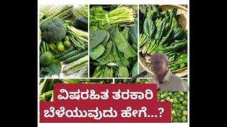 ವಿಷರಹಿತ ತರಕಾರಿ ಬೆಳೆಯುವುದು ಹೇಗೆ..? |  The Ultimate Guide to Non-Toxic Vegetables | Expert Information