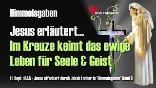 Im Kreuz keimt das ewige Leben für Seele & Geist... Jesus erklärt ️ Himmelsgaben durch Jakob Lorber