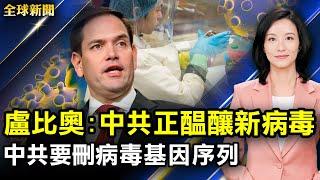 美政府制裁5家中國公司上黑名單；盧比奧：中共實驗室研發更具毀滅性病毒；中方要求刪除病毒基因序列；美兩黨達成近萬億大基建協議；直播主爆料: 大陸帶貨直播1/3在賣假貨【#全球新聞】｜#新唐人電視台
