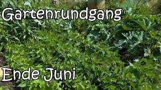 Gartenrundgang Ende Juni