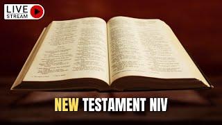 The Holy Bible : Complete NEW TESTAMENT Audio Bible (NIV Dramatized)