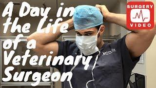 A Day in the Operating Room