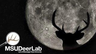 Deer University Episode 081 – Lunar Table Fables: Does the Moon Influence Buck Activity?