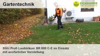 Stihl Profi Laubbläser BR 800 C-E im Einsatz mit ausfürlicher Vorstellung