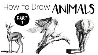 How to Draw & Sketch Animals - Part 1