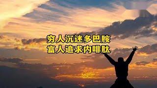 穷人沉迷多巴胺，富人追求内啡肽，真的是社会真相吗？