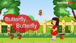 Butterfly... butterfly