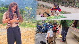 Harvesting beans and radishes to sell at the market, single mother crazy for her child