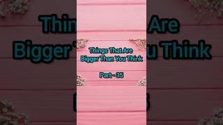 things are bigger than you think  #shorts #viral #justvideo