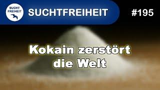 Kokain zerstört die Welt