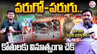 కోతులు విజృంభణ .. || Monkeys Hulchul In Karimnagar town || Latest News | @sumantvkandukur