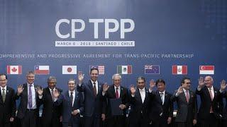 The CPTPP at Three