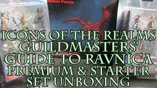 Icons of the Realms Guildmasters' Guide to Ravnica Premium & Starter Set Unboxing