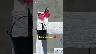 Красота в саду #весна2025 #дача #сад #декорсвоимируками #садоводство