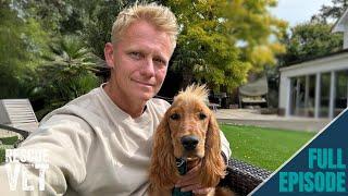 First month with my rescue dog Mango! (I ended up in hospital..) | Rescue Vet with Dr Scott Miller