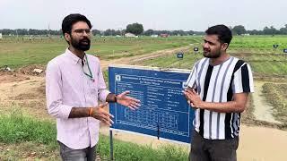 Importance of Potassium in Soil | Experiment in ICAR Field | Hidden Hunger #ICAR #Soil #Potassium