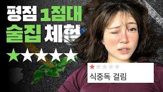 평점 1점대 술집에 가봤습니다.