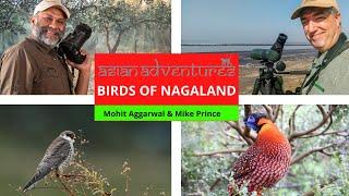 Birds Of Nagaland With Mohit Aggarwal and Mike Prince