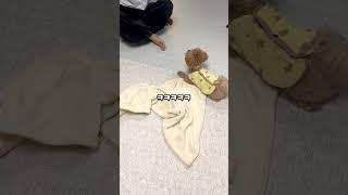계란 말다가 터진 강아지 #시트콤