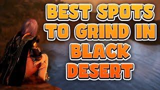 Best Spots to Grind in Black Desert Online 2024