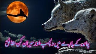 interesting facts about moon in Urdu Hindi 2019 in Pakistan Urdu Science