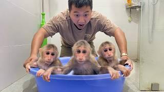 One Cubis, Nine Times the Trouble – Bath Time Madness!
