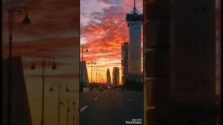 24 мая 2020 г.