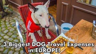 The 3 Biggest EXPENSES when traveling with your DOG in EUROPE!