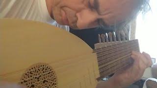 EMS 8-Course Renaissance Lute (Sound Test)