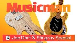 Musicman Passive or Active  ( Joe Dart VS Stingray Special ) -손록손록tv-