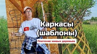 Тверская ива. Каркасы (шаблоны) для плетения живых деревьев из ивы.