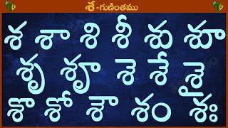 శ శా శి శీ శు శూ శృ శౄ #Guninthalu in telugu | శ గుణింతం | Learn Telugu SA gunintham @TeluguVanam ​