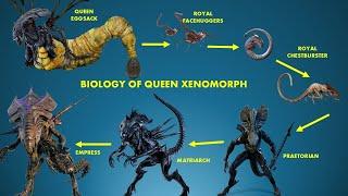 The Insane Biology Of A Queen Xenomorph