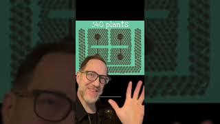 40 TIMES(!!!) More Garden Productivity with GEOMETRY and Polyculture