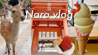 【JAPAN NaraTravel vlog】 traveling alone |  Kasuga Taisha , Todaiji Temple, NaraPark, NaraFood (sub