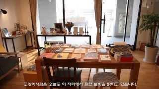 고양이스러운 고양이 서점