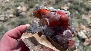 Wyoming Stone Ranger Red Agate Incredible Find Rockhounding Botryoidal Chalcedony Eye Popper