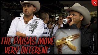 THE PAISA CAR MOVES DIFFERENT....HOW I FEEL ABOUT THEM !! #new #youtube