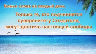 Только те, кто подчиняется суверенитету Создателя, могут достичь настоящей свободы