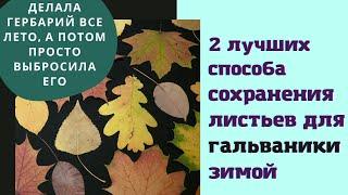 Как заготовить листья для гальванопластики. 2 лучших способа сохранения листьев не в засушенном виде