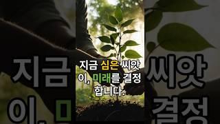 크게 될 나무는 밑동부터 다르다: 잠재력을 키우는 지혜 #속담,#지혜